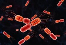 شیوع خاموش یک تهدید باستانی: سویه خطرناک حصبه در حال تسخیر جهان است