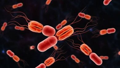 شیوع خاموش یک تهدید باستانی: سویه خطرناک حصبه در حال تسخیر جهان است