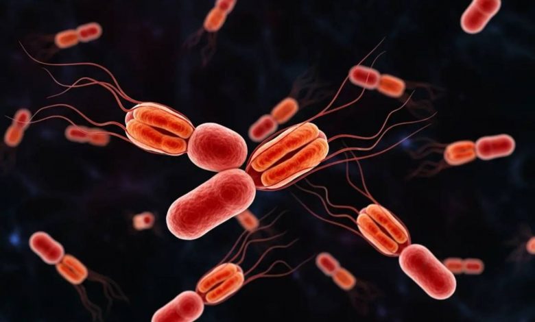 شیوع خاموش یک تهدید باستانی: سویه خطرناک حصبه در حال تسخیر جهان است