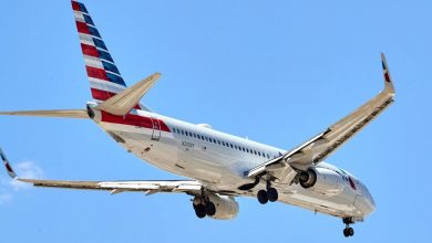 صدای کوبیده‌شدن در هواپیما؛ خلبان یک تصمیم غیرمنتظره گرفت