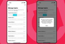 صندوق ۲ میلیون دلاری تیک‌تاک برای آموزش سواد هوش مصنوعی