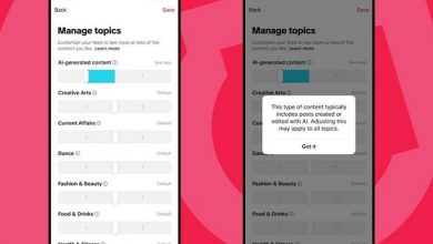 صندوق ۲ میلیون دلاری تیک‌تاک برای آموزش سواد هوش مصنوعی