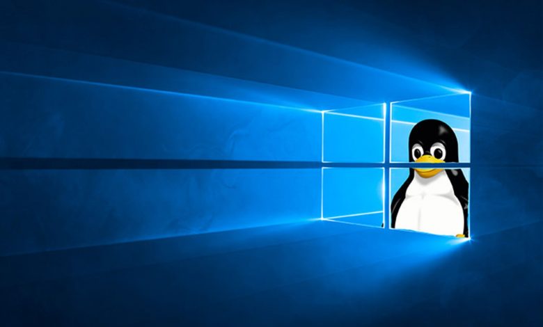 لینوکس، برنده بزرگ بازنشستگی ویندوز ۱۰