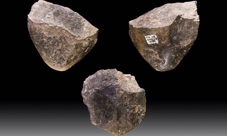 ماندگارترین فناوری جهان؛ اجداد ما میلیون‌ها سال از یک نوع ابزار سنگی استفاده می‌کردند