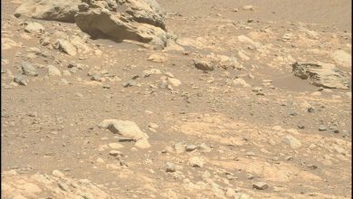 مریخ‌نورد پرسویرنس سنگی را در مریخ یافته است که به آنجا تعلق ندارد