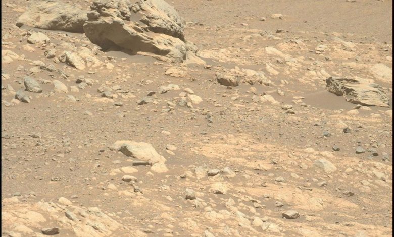 مریخ‌نورد پرسویرنس سنگی را در مریخ یافته است که به آنجا تعلق ندارد