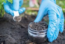 معجزه‌ای از خاک؛ کشف آنتی‌بیوتیکی قدرتمند که مقاوم‌ترین باکتری‌ها را نابود می‌کند