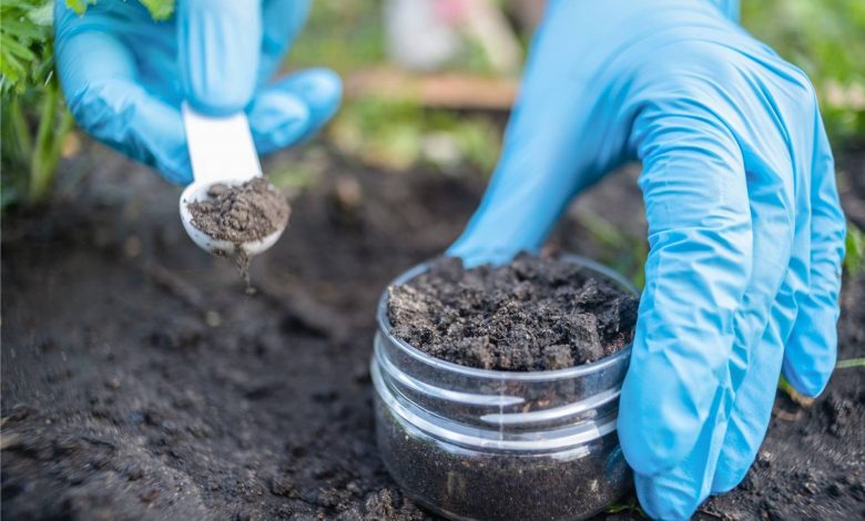 معجزه‌ای از خاک؛ کشف آنتی‌بیوتیکی قدرتمند که مقاوم‌ترین باکتری‌ها را نابود می‌کند