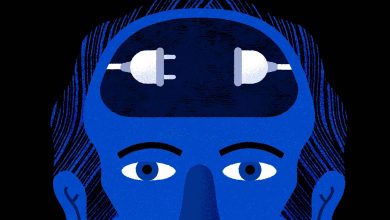 مغز ما چگونه لحظه‌های «یافتم» را می‌سازد؟