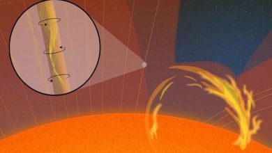 موج‌های آتشین خورشید پس از ۸۰ سال شکار، آشکار شدند