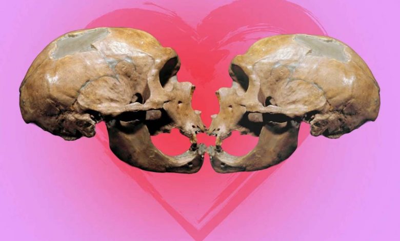 میراث مشترک انسان، نئاندرتال‌ها و شامپانزه‌ها؛ بوسه در اعماق تاریخ ریشه دارد