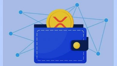 نوبیتکس | مقایسه ریپل و استلار: کدام‌یک برای انتقال‌های بین‌المللی برنده است؟