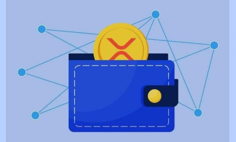 نوبیتکس | مقایسه ریپل و استلار: کدامیک برای انتقالهای بینالمللی برنده است؟