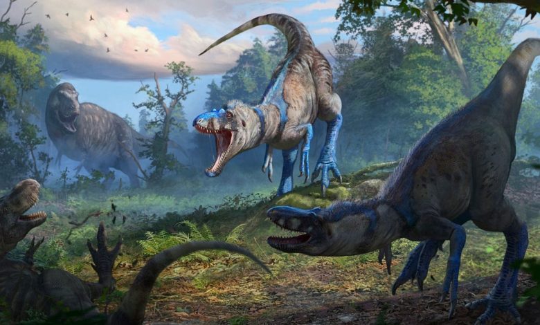 پایان جدال قدیمی دیرینهشناسان؛ تیرکس نابالغ بالاخره گونهای مستقل شناخته شد