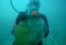 پمپئی جاده ابریشم: تمدن گمشده قرون وسطایی از زیر آب‌های قرقیزستان بیرون آمد