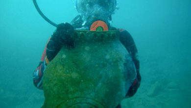 پمپئی جاده ابریشم: تمدن گمشده قرون وسطایی از زیر آب‌های قرقیزستان بیرون آمد