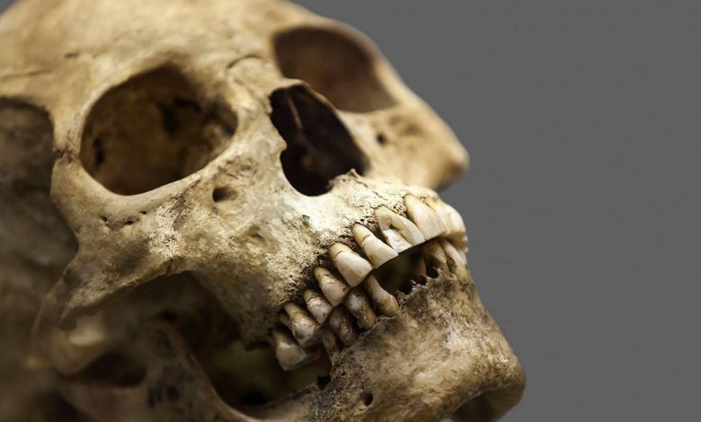 چرا دندانها استخوان به حساب نمیآیند؟