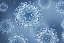 کرونای تیغی چیست؟ هرآنچه باید درباره نیمبوس، سویه جدید ویروس کرونا بدانید