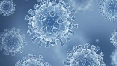 کرونای تیغی چیست؟ هرآنچه باید درباره نیمبوس، سویه جدید ویروس کرونا بدانید