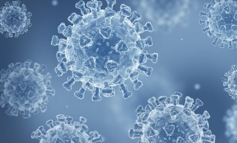 کرونای تیغی چیست؟ هرآنچه باید درباره نیمبوس، سویه جدید ویروس کرونا بدانید