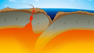 کشف بی‌سابقه: در اعماق اقیانوس آرام یک صفحه تکتونیکی درحال فروپاشی است