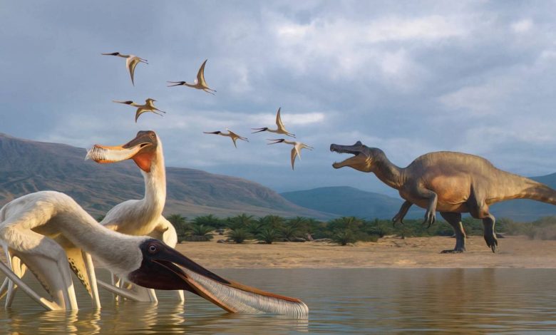 کشف عجیب در برزیل: گونه‌ای جدید از پتروسور در استفراغ فسیل‌شده دایناسور پیدا شد