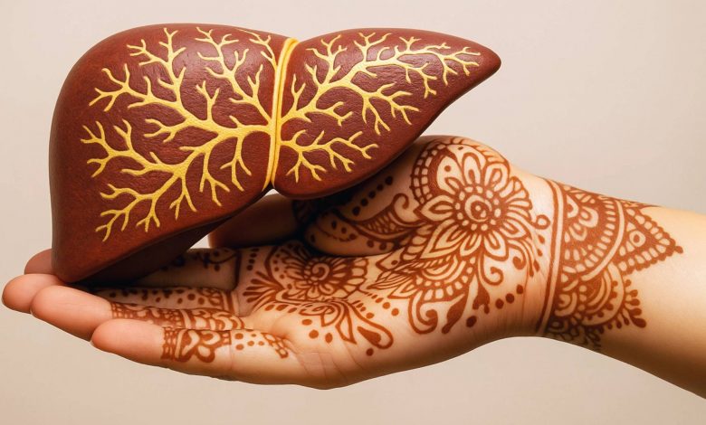 یکی از ترکیبات موجود در حنا میتواند آسیبهای کبدی را معکوس کند