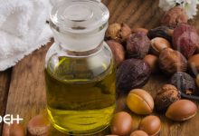 روغن آرگان؛ فرشته نجات پوست و مو | قیمت ، خرید و تشخیص روغن آرگان