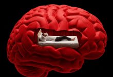 آیا تنبلی در مغز شروع می‌شود؟