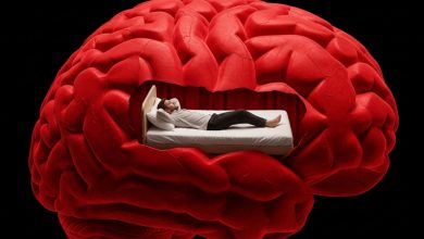 آیا تنبلی در مغز شروع می‌شود؟