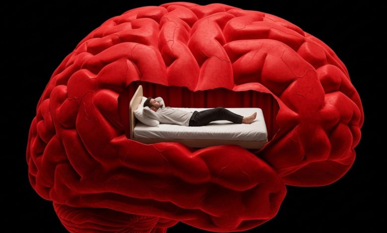 آیا تنبلی در مغز شروع می‌شود؟