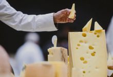 آیا پنیر پرچرب خطر زوال عقل را کاهش می‌دهد؟ بررسی نتایج یک مطالعه ۲۵ ساله