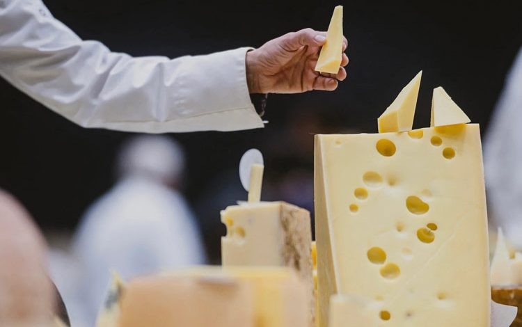 آیا پنیر پرچرب خطر زوال عقل را کاهش می‌دهد؟ بررسی نتایج یک مطالعه ۲۵ ساله