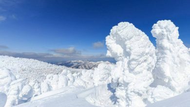 آیا ژاپن می‌تواند هیولاهای برفی معروف خود را نجات دهد؟