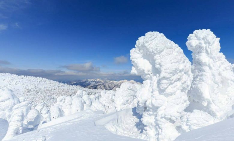 آیا ژاپن میتواند هیولاهای برفی معروف خود را نجات دهد؟