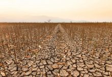 از خشکسالی تا سیلاب؛ کشورهای عربی زیر فشار سنگین گرمایش زمین هستند