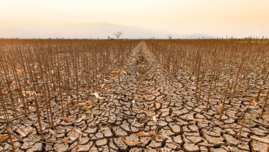 از خشکسالی تا سیلاب؛ کشورهای عربی زیر فشار سنگین گرمایش زمین هستند