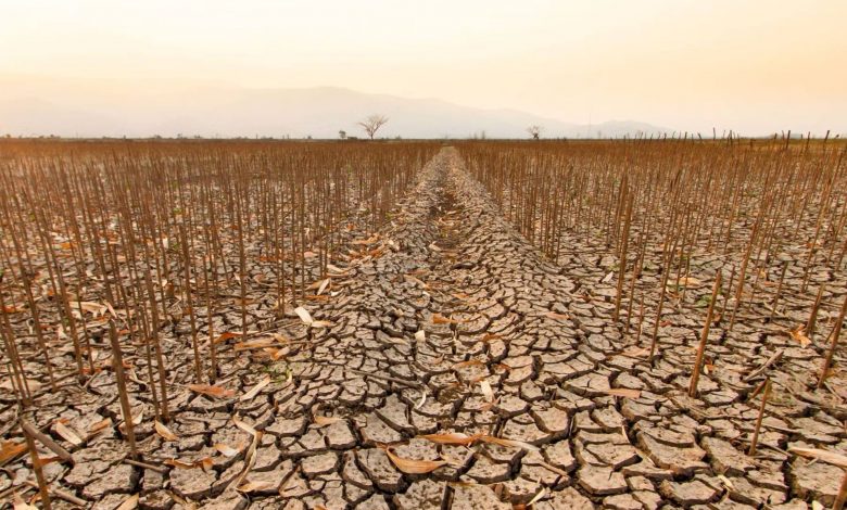 از خشکسالی تا سیلاب؛ کشورهای عربی زیر فشار سنگین گرمایش زمین هستند