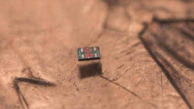 انقلاب در مقیاس میکرو: کوچکترین ربات مستقل دنیا به اندازه دو تار مو عرض دارد
