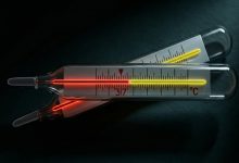 اگر دمای بدنمان ۳۷ درجه نبود، زنده‌زنده خوراک قارچ‌ها می‌شدیم!