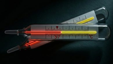 اگر دمای بدنمان ۳۷ درجه نبود، زنده‌زنده خوراک قارچ‌ها می‌شدیم!