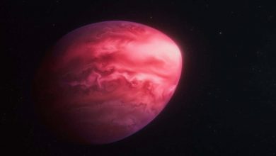 این سیاره آن‌قدر تحت فشار گرانش ستاره‌اش قرار دارد که به شکل لیمو درآمده است