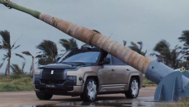 ببینید: شاسی‌بلند لوکس چینی از سقوط درخت غول‌پیکر جان سالم به در برد