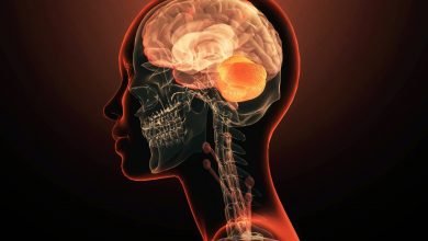 برای نخستینبار یک ژن واحد بهتنهایی عامل بیماری روانی شناخته شد