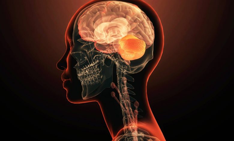 برای نخستین‌بار یک ژن واحد به‌تنهایی عامل بیماری روانی شناخته شد