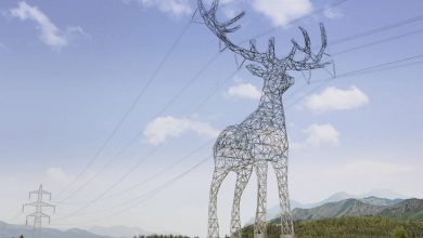 تبدیل دکل برق به مجسمه حیوانات؛ ایده اتریش برای تغییر چهره خطوط انتقال انرژی