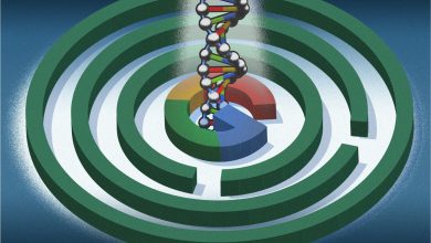 تلاش برای جلوگیری از پیرشدن؛ پروژه جنجالی گوگل به کجا رسید؟