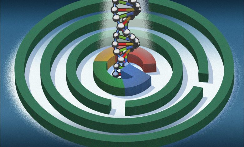 تلاش برای جلوگیری از پیرشدن؛ پروژه جنجالی گوگل به کجا رسید؟