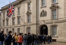 حامی مهاجر: واقعیت‌های گفته نشده درباره ویزای توریستی انگلستان؛ تحلیل روند صدور ویزا