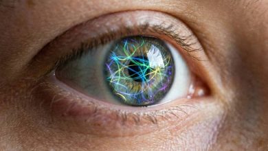 حواس پنجگانه را فراموش کنید: دانشمندان میگویند شاید ۳۳ حس داشته باشیم